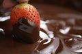 Dipping strawberry into dark premium chocolate Royalty Free Stock Photo