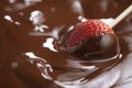 Dipping strawberry into dark premium chocolate Royalty Free Stock Photo