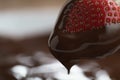 Dipping strawberry into dark premium chocolate Royalty Free Stock Photo