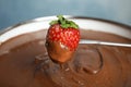 Dipping strawberry into pot with tasty chocolate fondue, Royalty Free Stock Photo