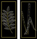 Diptych. Herbs. Reed and stalk with leaves in night