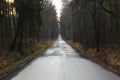 Direct asphalt road stretches into the distance amid the damp autumn forest