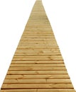 Direct wood path isolated