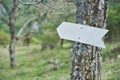 Direction arrow in the forest - adds your text here