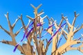 Direction indicator in the form of a tree with branches of plywood on a background of blue sky. Achieving the target