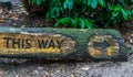 Direction sign creatively carved into a tree trunk, Forest or garden signpost, board This way Royalty Free Stock Photo