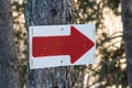 Directional arrow on the tree Royalty Free Stock Photo