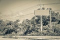 Directional green blank empty road sign in Tulum Mexico Royalty Free Stock Photo