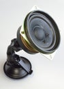 Directional phonation of speaker Royalty Free Stock Photo