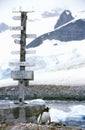 Directional sign and penguin at Chilean Station, Paradise Harbor, Antarctica Royalty Free Stock Photo
