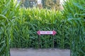 Corn maze with directional sign