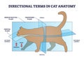 Directional terms in cat anatomy and quadrupeds division outline diagram Royalty Free Stock Photo