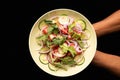 Directly above view of cropped hands holding plate with fresh salad on white background Royalty Free Stock Photo