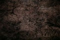 Dirt background texture.Dark soil background.