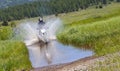 Dirt Bike Water Crossing Royalty Free Stock Photo