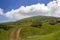 Dirt car track on green grassy hill leading to woody mountains ridge on bright blue sky copy space background. Tourism and Royalty Free Stock Photo