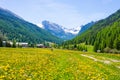 Dirt country road crossing flowery meadows, mountains and forest in scenic alpine landscape and moody sky. Summer adventure and ro Royalty Free Stock Photo