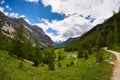 Dirt country road crossing flowery meadows, mountains and forest in scenic alpine landscape and moody sky. Summer adventure and ro Royalty Free Stock Photo