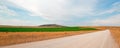 Dirt country road next to uncut Alfalfa field in Montana USA Royalty Free Stock Photo