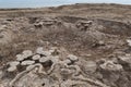 Dirt-covered salt mounds along Israel\'s Dead Sea coast Royalty Free Stock Photo