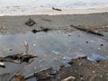 Dirt, debris, and oil and water and sand on shore