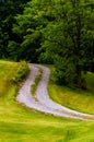 Dirt driveway and tree on a grassy hill Royalty Free Stock Photo