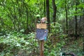 A dirt footpath in the forest with a sign and a doll head on top surrounded by lush green trees on the Doll`s Head Trail