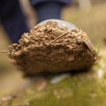 Dirt on a galosh on foot Royalty Free Stock Photo