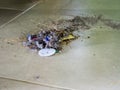 Dirt, garbage dump, caused by sweeping the house clean.