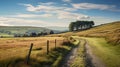Charming British Landscapes: A Road Through The Idyllic Rural Scenes