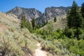 Dirt hiking trail leading to the Goldbug Hot Springs in Idaho Salmon-Challis National Forest
