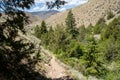 Dirt hiking trail leads to Goldbug Hot Springs Elk Bend in the Sawtooth Mountains in Idaho. Woman hiker in distance Royalty Free Stock Photo