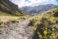 Dirt hiking trail in McGee Creek near Mammoth Lakes California Royalty Free Stock Photo