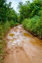 Dirt mud road in jungle of Vietnam Royalty Free Stock Photo