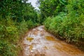 Dirt mud road in jungle of Vietnam Royalty Free Stock Photo