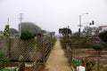 Dirt Path in Community Garden