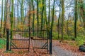 Dirt path covered with dry leaves in the middle of the forest with an old abandoned wrought iron gate between trees