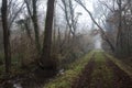 Dirt path with foliage on the ground and a tree leaning on it in a park on foggy day in winter Royalty Free Stock Photo