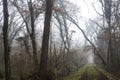 Dirt path with foliage on the ground and a tree leaning on it in a park on foggy day in winter Royalty Free Stock Photo