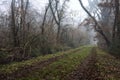 Dirt path with foliage on the ground and a tree leaning on it in a park on foggy day in winter Royalty Free Stock Photo