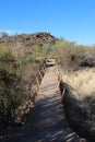 A dirt path leading to Signal Hill in Saguaro National Park, Tucson, Arizona Royalty Free Stock Photo