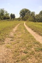 Dirt path in the middle of a clearing in a park on a sunny day in the italian countryside