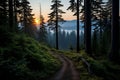 a dirt path in the middle of a forest at sunrise Royalty Free Stock Photo
