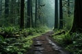 a dirt path in the middle of a green forest Royalty Free Stock Photo