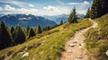 a dirt path on a mountain