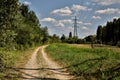 Dirt path next to a stream of water and an open space with a row of cypresses on it on a clear day Royalty Free Stock Photo