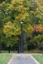 A dirt path in the park and a vintage lantern. The trees show colorful autumn leaves