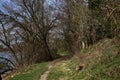 Dirt path by the shore of a lake bordered by bare trees in a park in the italian countryside in late winter