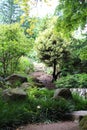 A dirt path and stone steps meandering through green shrubbery and trees in a park in San Francisco, California