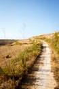 Dirt path winding through fields in the countryside around Wied